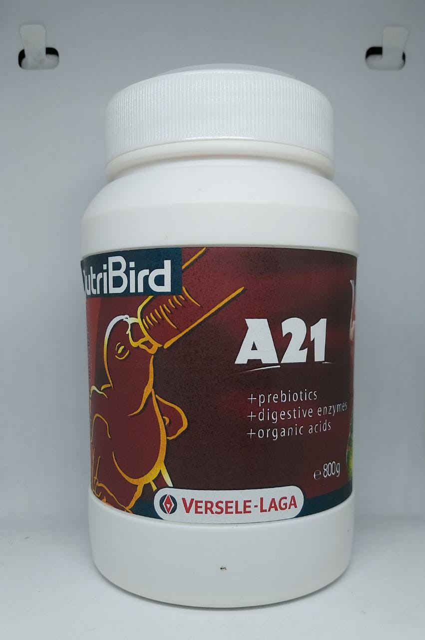 5b9da201-2f29-4bdd-9ac8-283ca165d16e NutriBird A21 Feed 800g