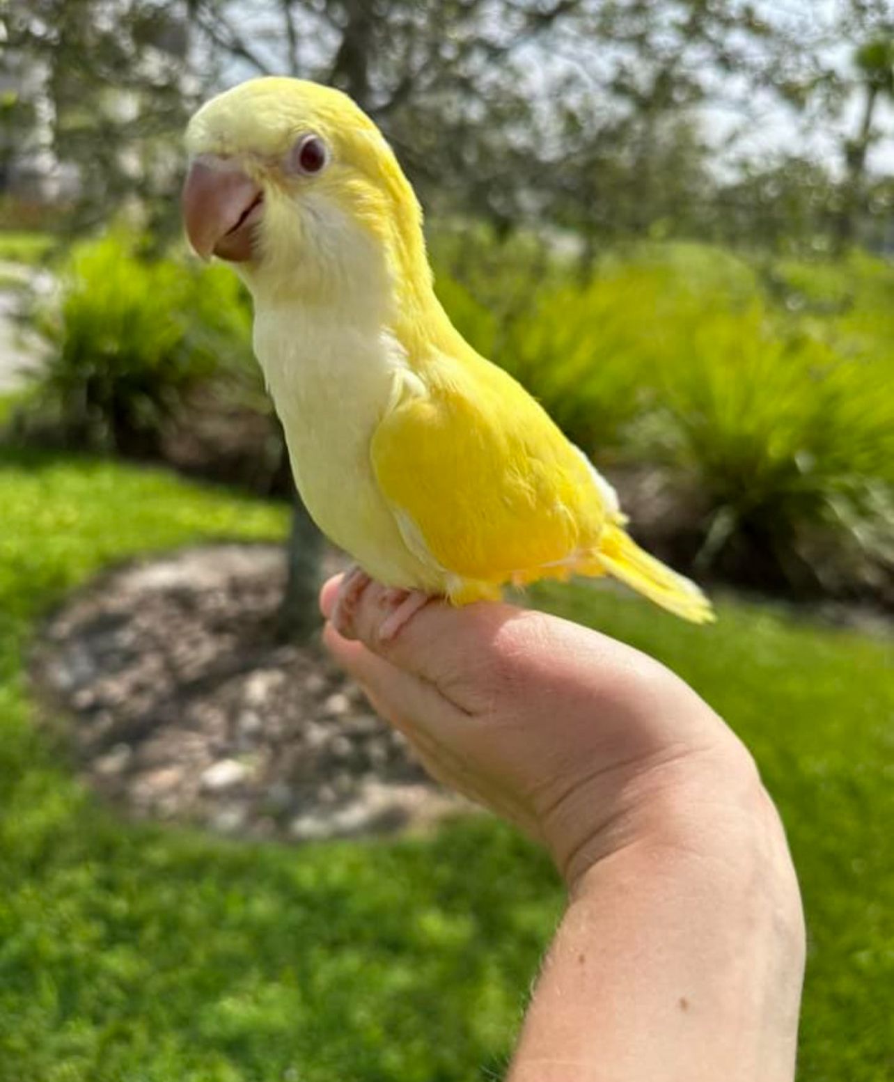 WhatsApp Image 2026-09-03 at 13.15.15